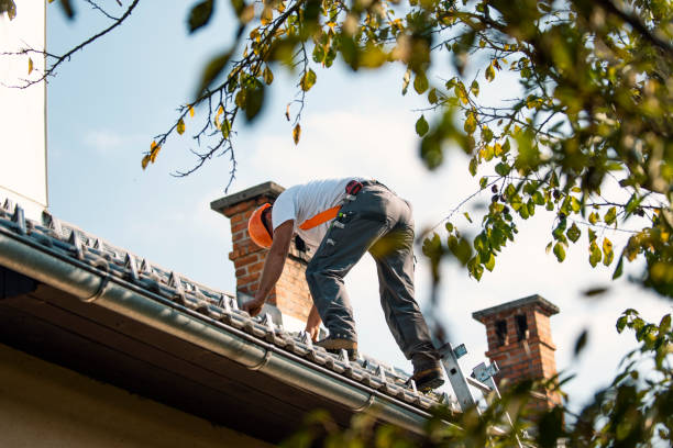 Professional Roofing Contractor in Taft Mosswood, CA